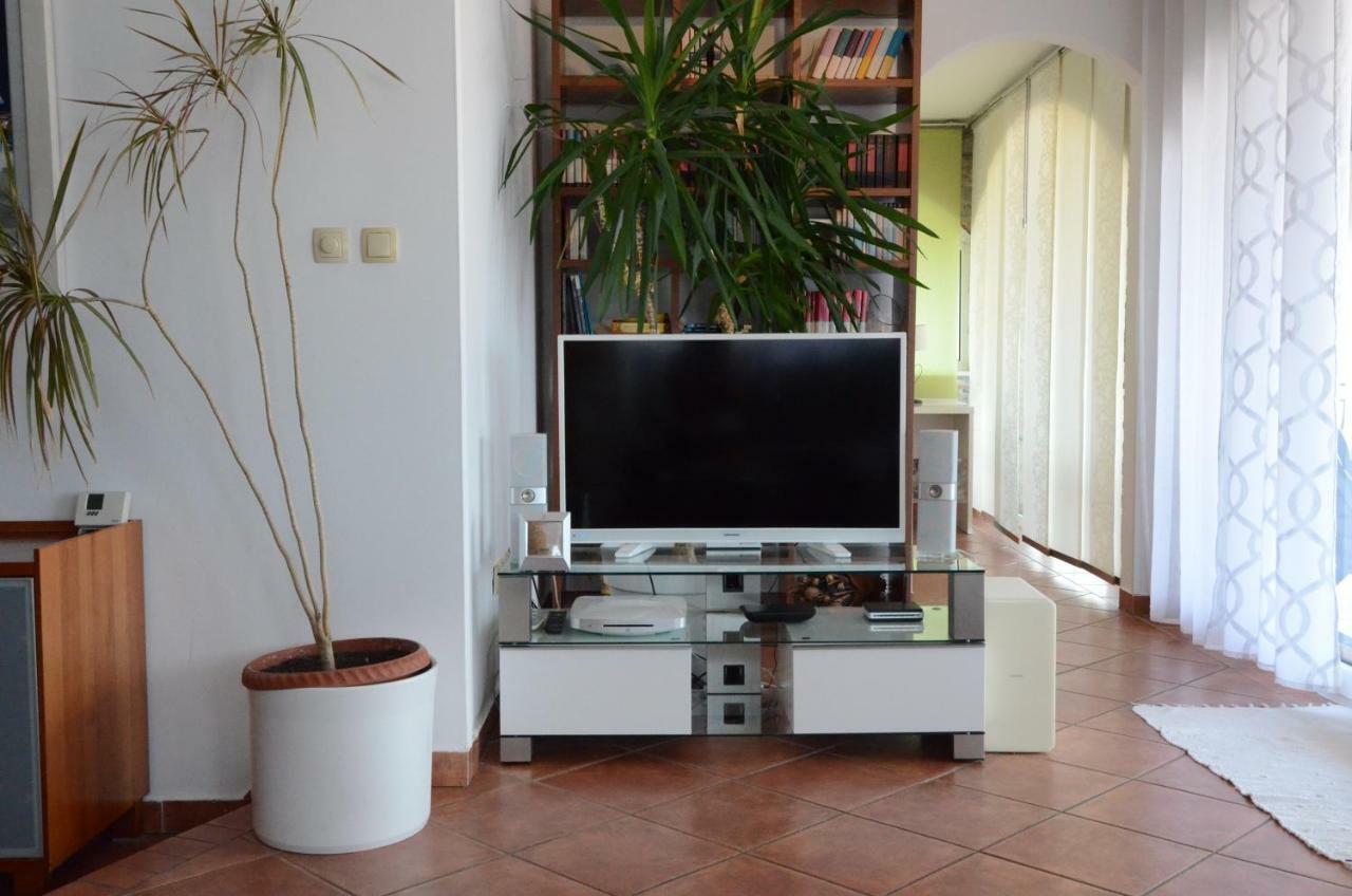 Petra Hills Apartment *